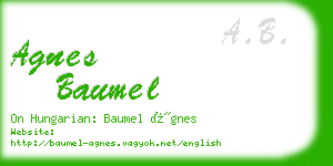 agnes baumel business card